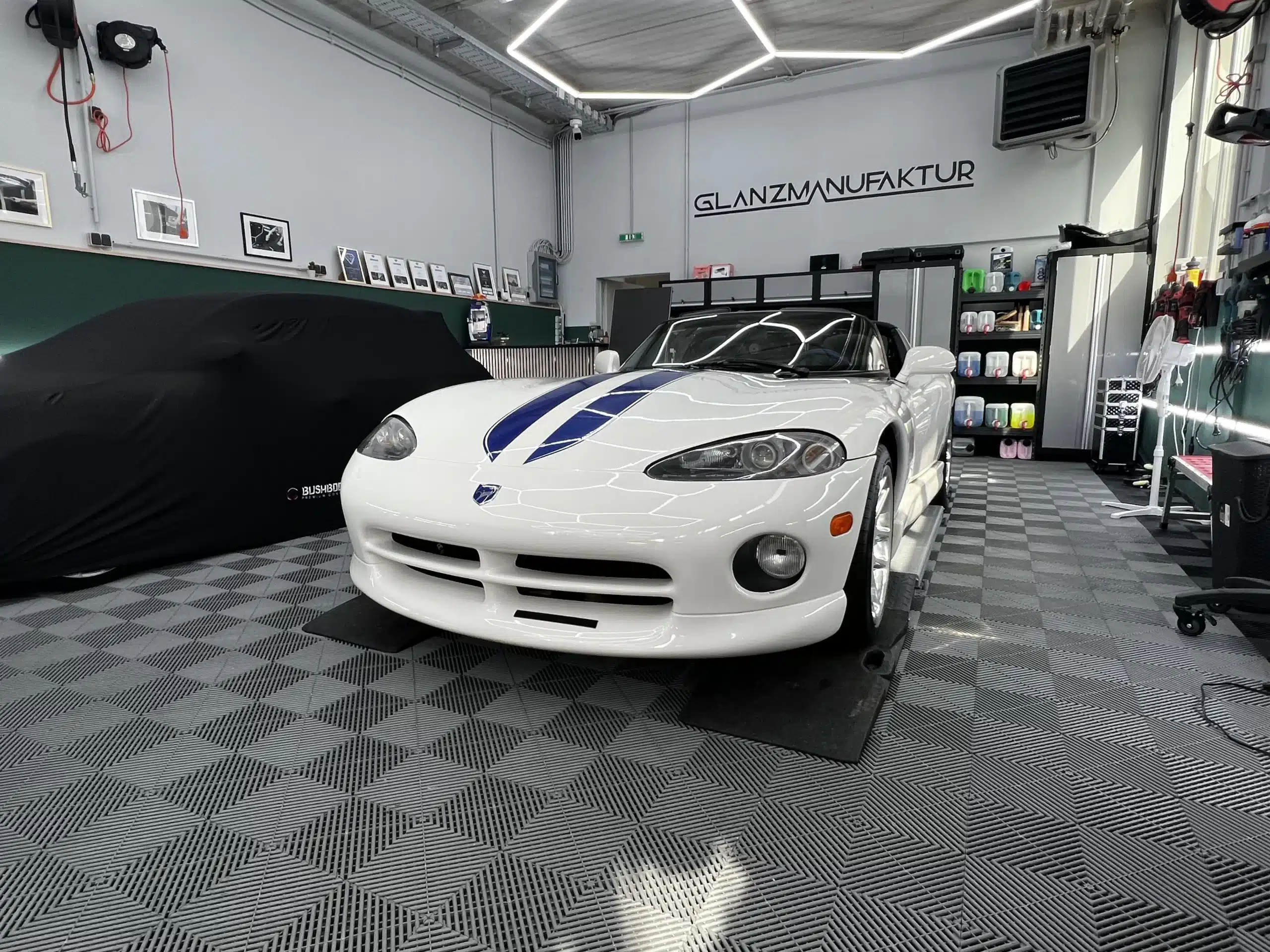 dodge viper (1)