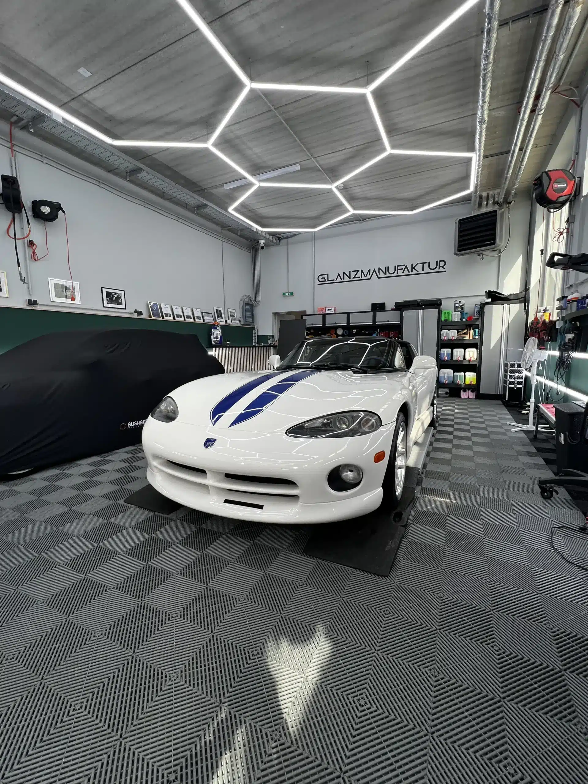 dodge viper (4)